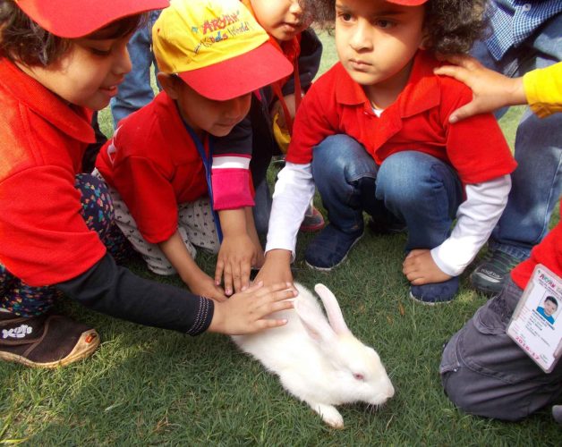 25. Feeding carrot to the rabbit 25. Feeding carrot to the rabbit